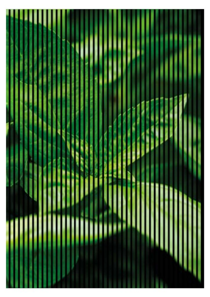 Akustikpaneele mit Digitaldruck Basilikum01 19 x 1693 x 2400 mm Basilikum MDF PET-Fasern Wandpaneele Grün Schwarz 3 Einzelplatten