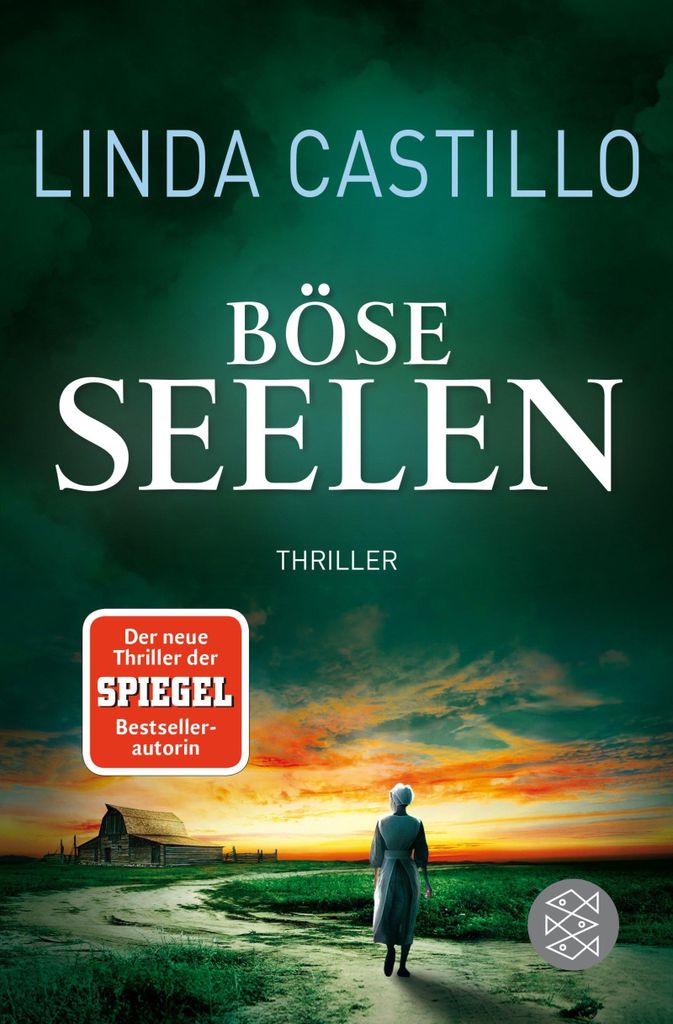 Böse Seelen: Thriller | Spannender Thriller bei den Amischen (Kate Burkholder ermittelt, Band 8)