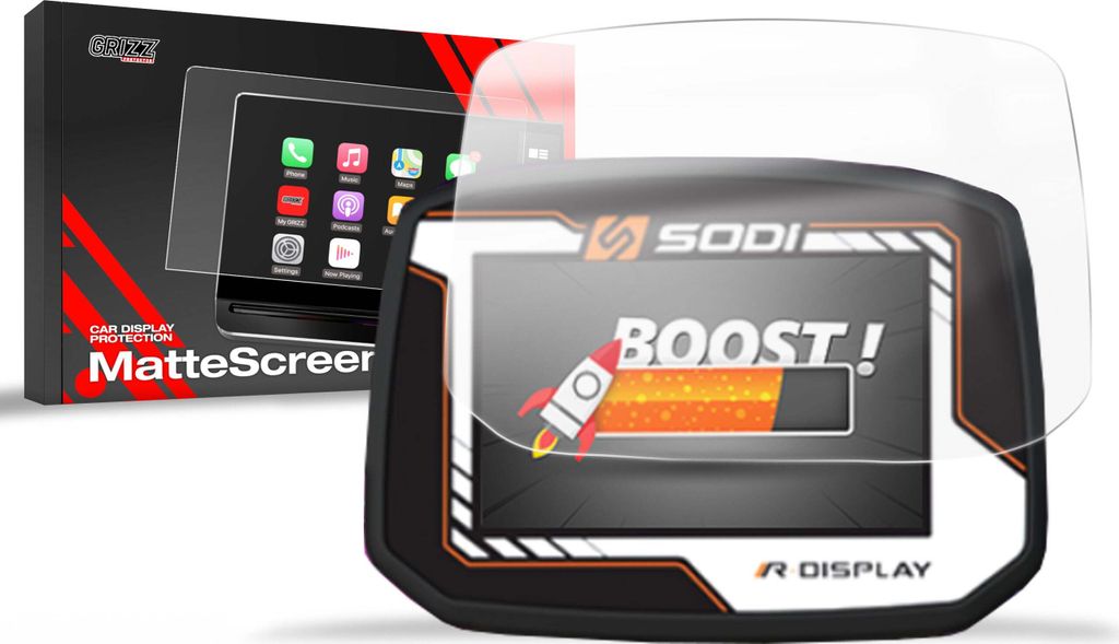 Matte GrizzGlass CarDisplay Schutz Sodi LRX2