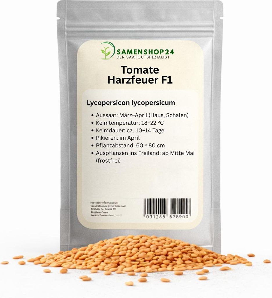 Tomate Harzfeuer F1 1000 Korn, leuchtend rote Früchte Produktbild 