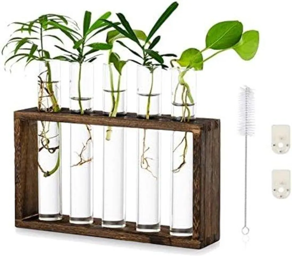 Support à plantes en bois avec 6 tubes de culture en verre intérieur