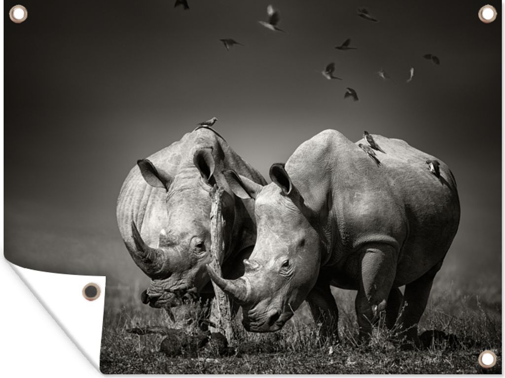 MuchoWow 40x30 cm Outdoor-Poster Gartendeko Sichtschutz Garten Poster für den Garten Nashorn - Vogel - Tiere - Landschaft - Schwarz-Weiß