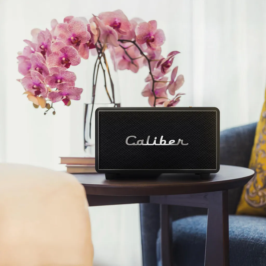 Enceinte Rétro Caliber 200W : Bluetooth, Réglage Basses et Mode TWS - 4