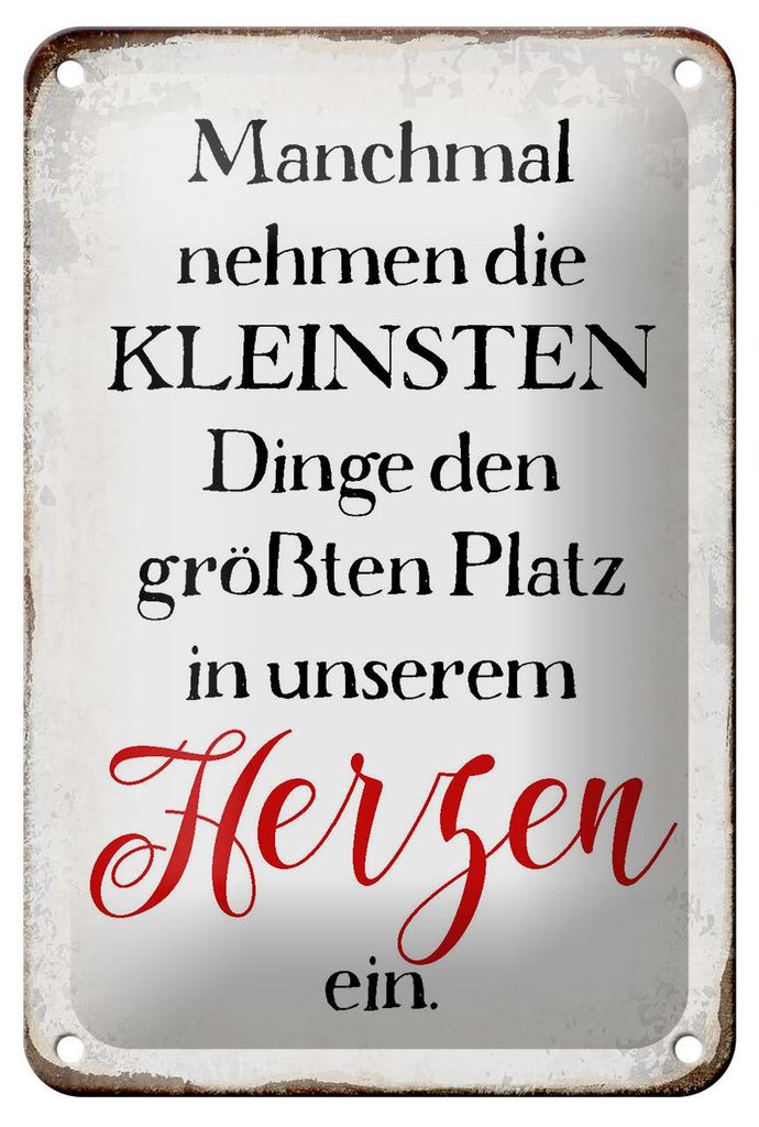 Blechschild Spruch 12x18cm die kleinsten Dinge größte Platz