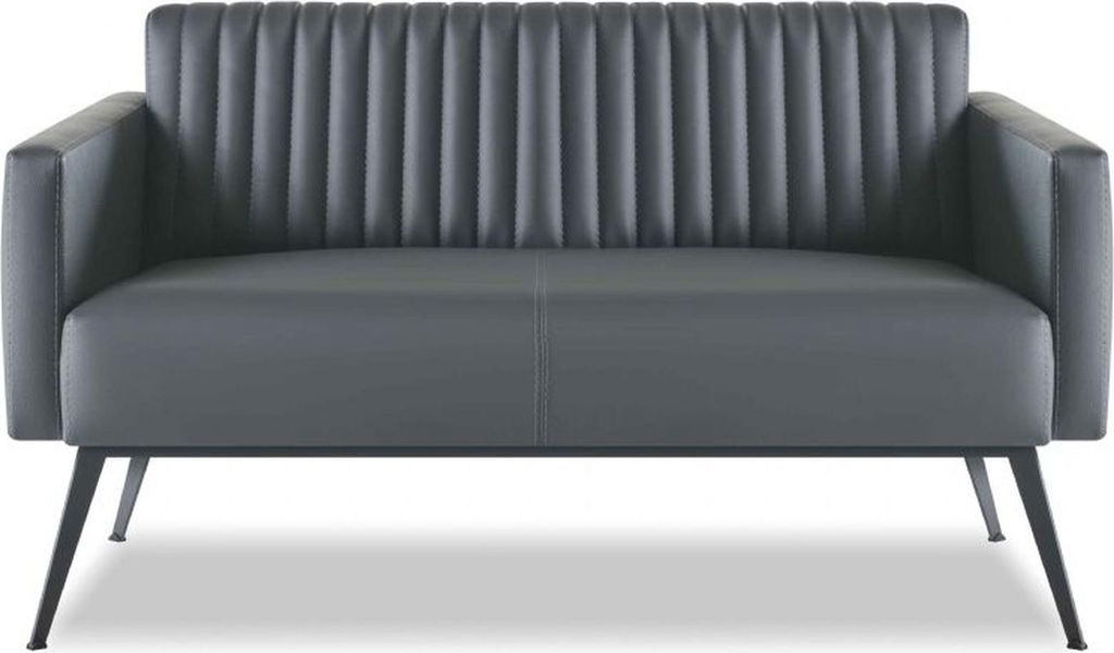 Sofa 2-Sitzer Schwarz Farbe Einfarbig Modern Design Stil Arbeitszimmer