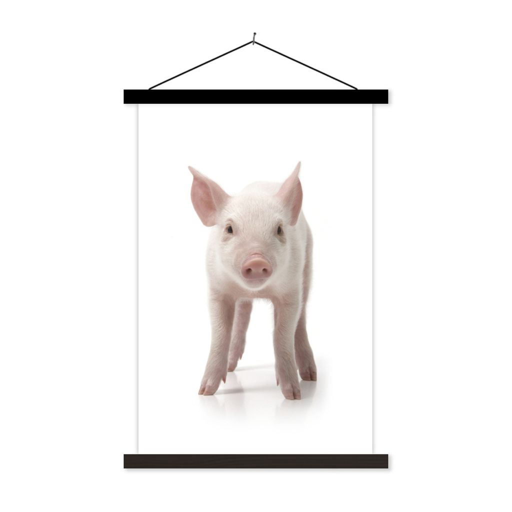 MuchoWow Textilposter Schwein - Tiere - Weiß 40x60 cm mit schwarzem Rahmen - Wanddekorationen