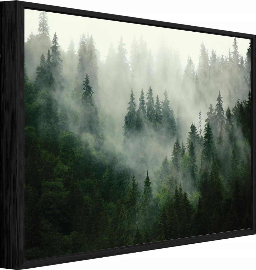 Bilder mit Rahmen Wald Nebel Natur - 120x80 cm - Wandbilder Wohnzimmer Schlafzimmer - Leinwand Bilder mit Rahmen Grün - PPR13026O20