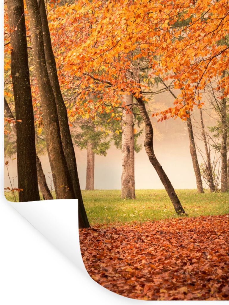 MuchoWow Wandtattoo Wandsticker Wandaufkleber Blätter - Herbst - Wald 120x160 cm Selbstklebend und Repositionierbar - Wierderverwendbar - Selbst...