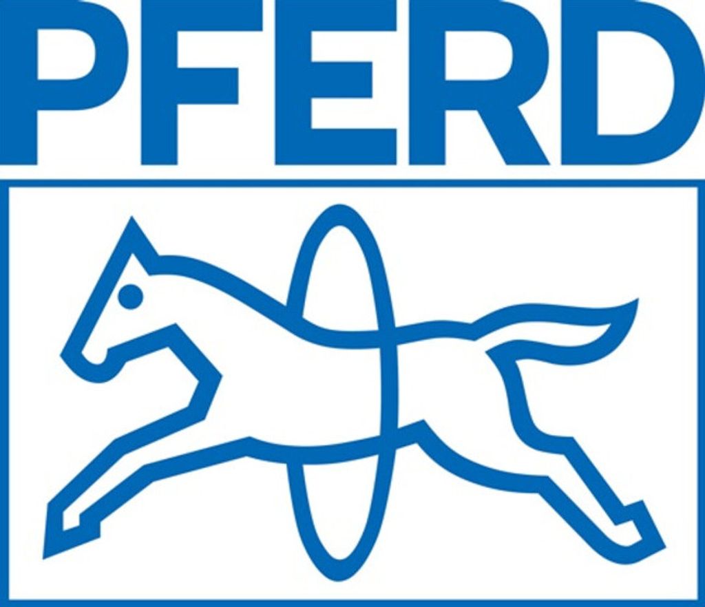 Pferd Halbrundfeile Länge 150mm Hieb 1 DIN7261-E Querschnitt 16x4,5mm - 11125151