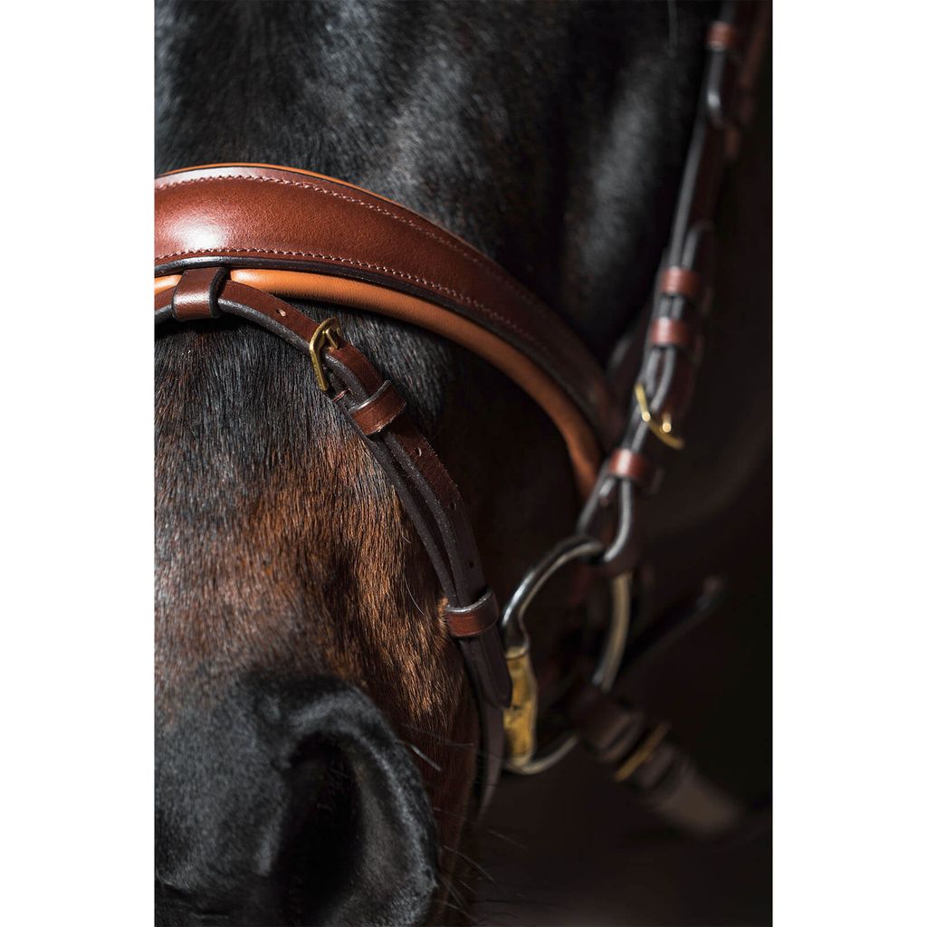 HKM Trense Marrakesh mit Zügeln Dunkelbraun Pony Produktbild 5