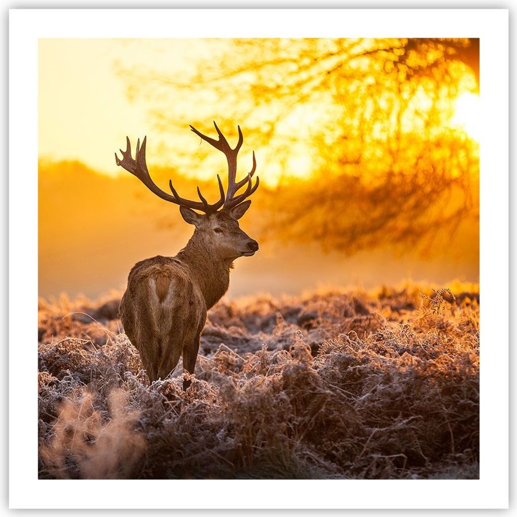 Poster - Poster ohne Rahmen - Herbst landschaft natur blatt - 60x60 cm - Wand Bild - Wanddeko - Wandbilder - Kunstposter - Wandposter - Bilder - Ku...