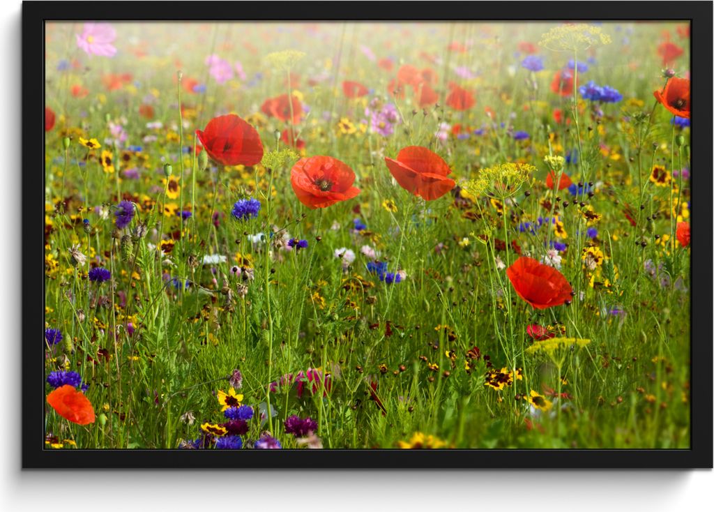 MuchoWow® MuchoWow® Gerahmtes Poster Frühling - Blumen - Produktbild 