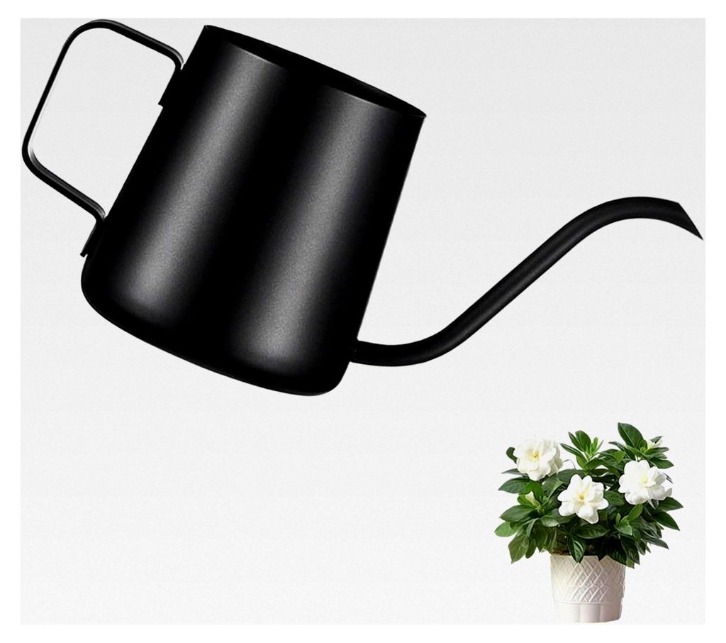 250ML Schwarze Gießkanne für Zimmerpflanzen, Edelstahl Mini Gießkanne mit langer Auslauf