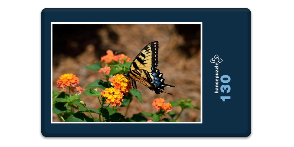 hansepuzzle 18571 - Schmetterling Puzzle, 130 Teile, Tierwelt, 28,7 x 20,0cm mit hochwertiger Aufbewahrung, Kartonbox & Beutel