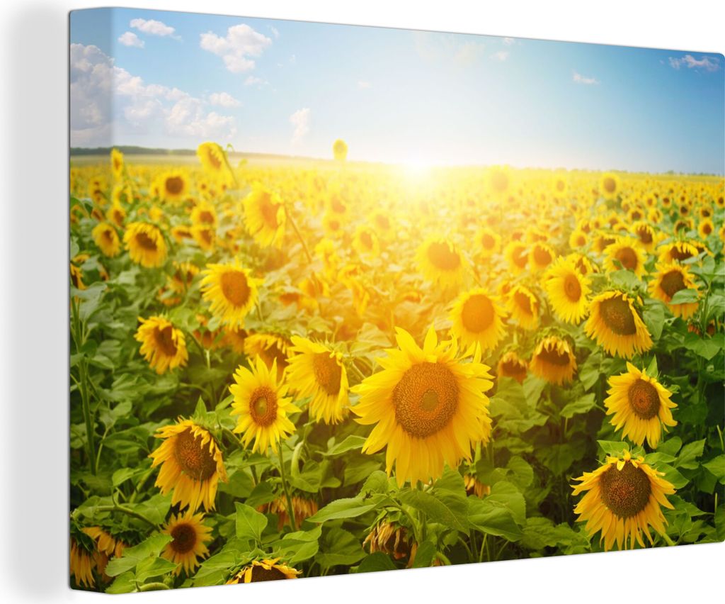 OneMillionCanvasses - Leinwandbilder - 150x100 cm, Sonnenblume - Sonne - Wolken, Wandbilder Kunstdruck Wanddekoration - Foto auf Leinwand - Gemä...