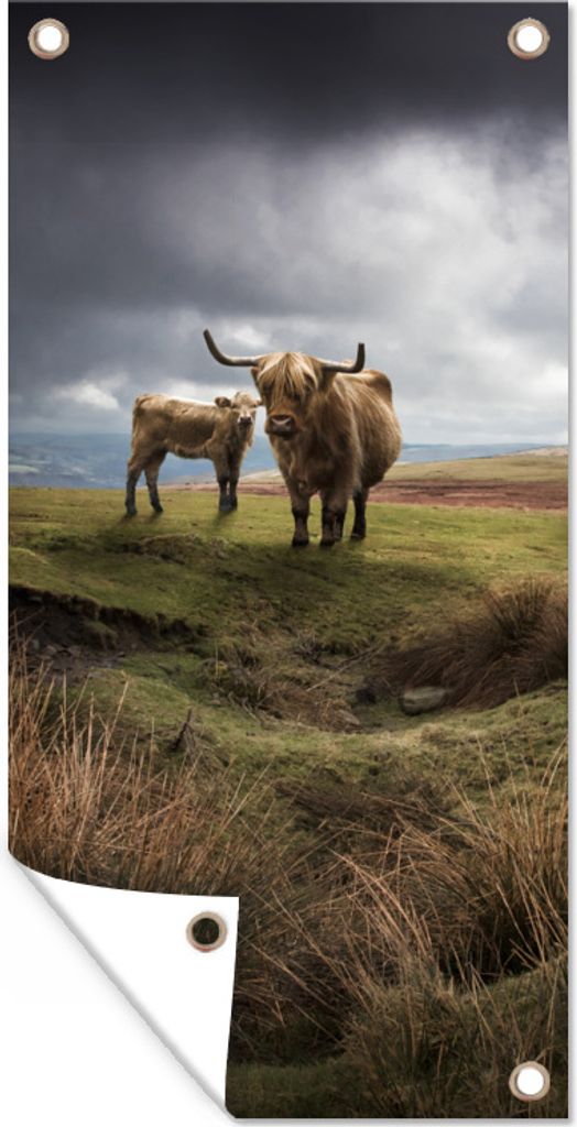 MuchoWow 80x160 cm Outdoor-Poster Gartendeko Sichtschutz Garten Poster für den Garten Schottische Highlander - Schottische Kuh - Landschaft