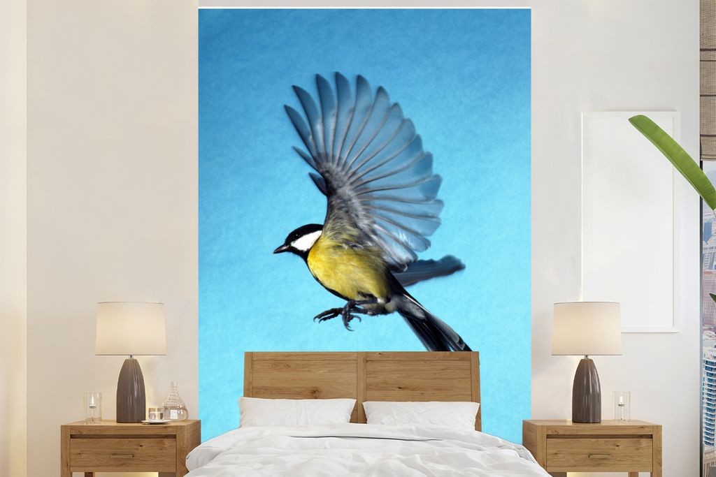 MuchoWow Fototapete für Wohnzimmer oder Schlafzimmer Wandtapete Vinyl Motivtapete Eine Kohlmeise vor blauem Hintergrund - 170x260 cm - Wohnzimme...