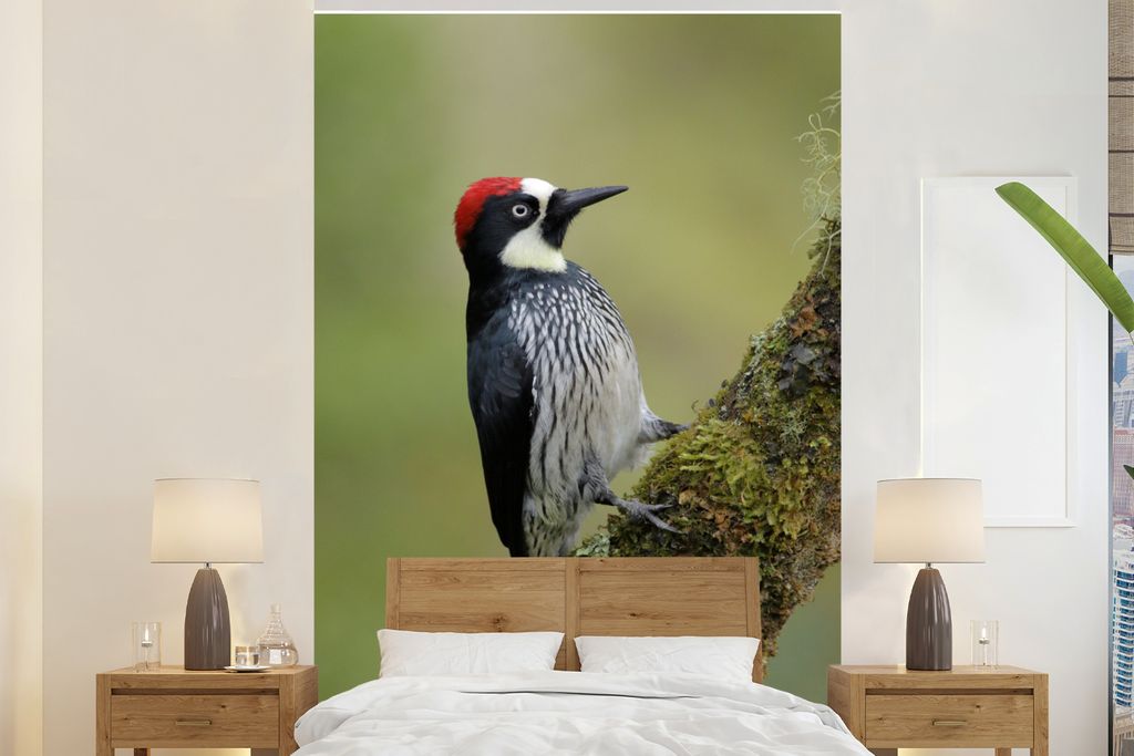 MuchoWow Fototapete für Wohnzimmer oder Schlafzimmer Wandtapete Vinyl Motivtapete Buntspecht mit rotem Kopf und Zebrafell - 145x220 cm - Wanddek...