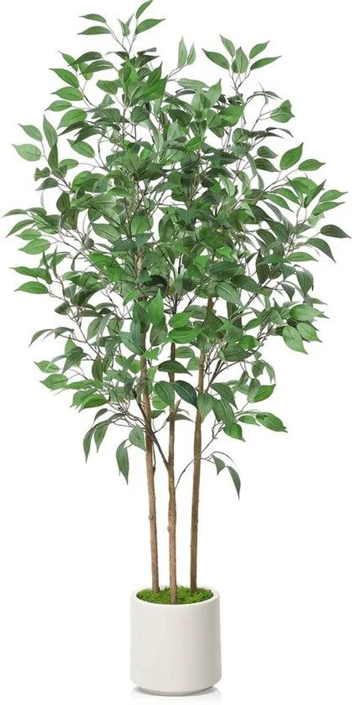 Décoration bureau et salon : Ficus artificiel blanc 150 cm pot inclus