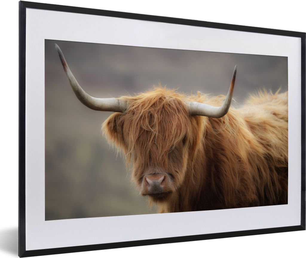 MuchoWow® Gerahmtes Poster Schottischer Highlander - Hörner Produktbild 