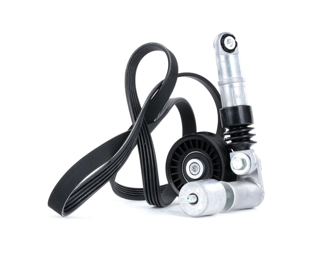 RIDEX 542R0069 Keilrippenriemensatz für VW Golf IV Schrägheck (1J1)