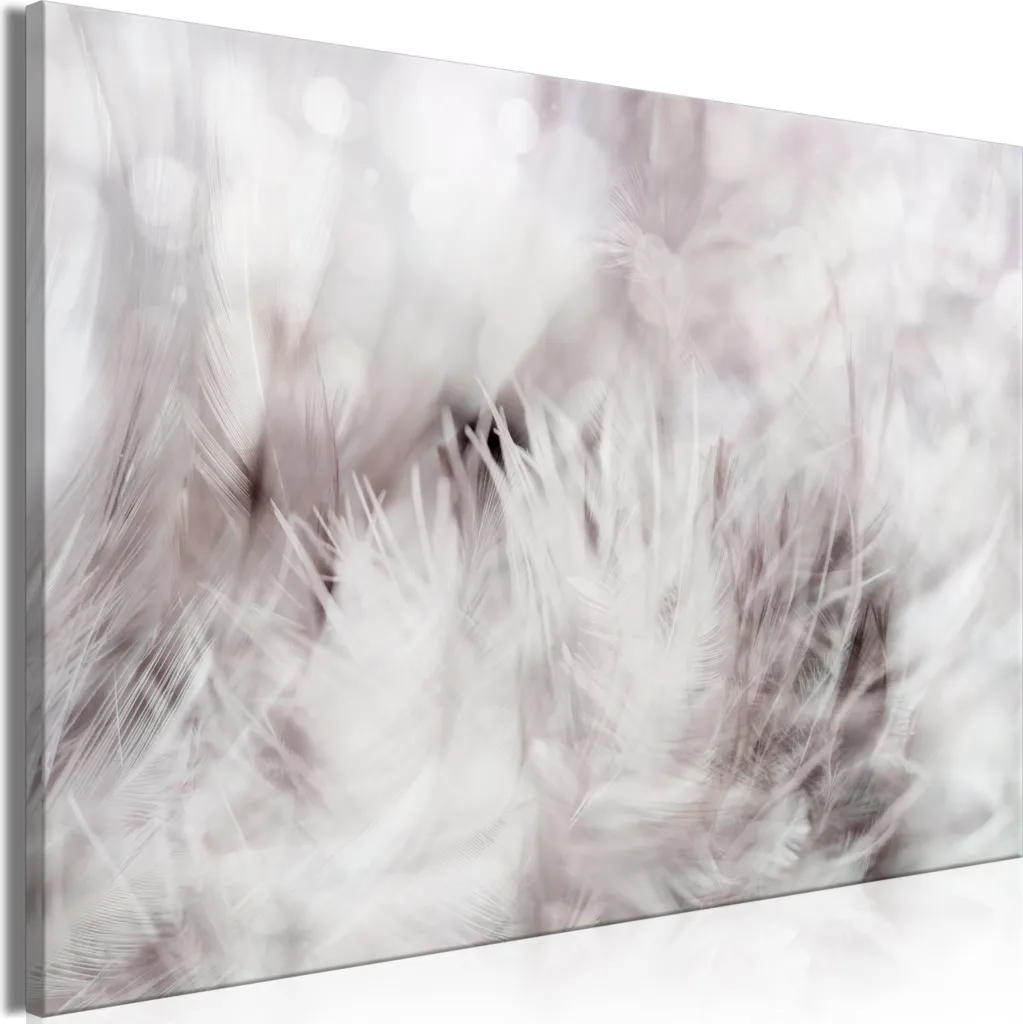 Tableau moderne pour salon : Photo de plume sur toile 120x80 cm chic