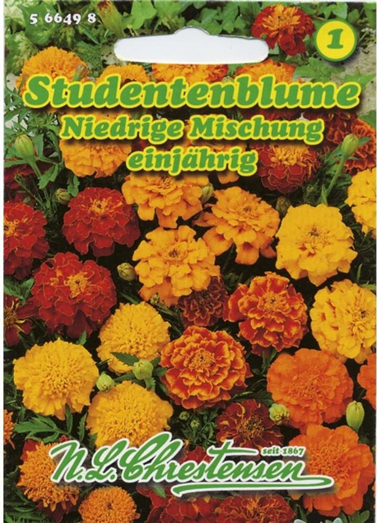 Studentenblume Niedrige Mischung | Studentenblumensamen von N.L. Chrestensen