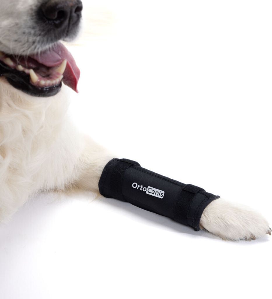 Verstellbare Karpalorthese für Hunde Umfangdeskarpalgelenks 6 - 8 cm (Größe S)