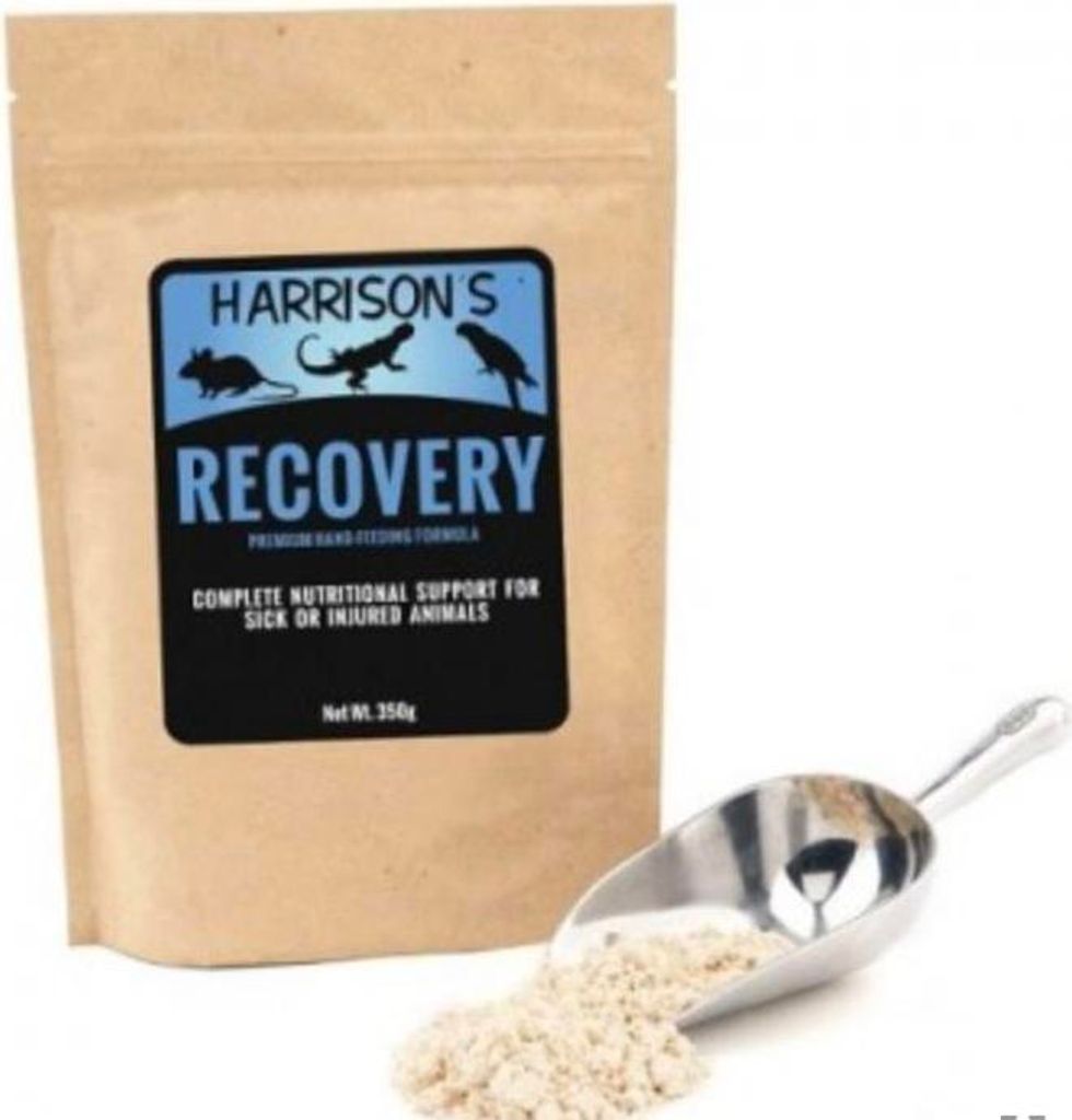 Dr. Harrison 'S Handaufzuchtfutter Recovery Formula, 0,35 Produktbild 
