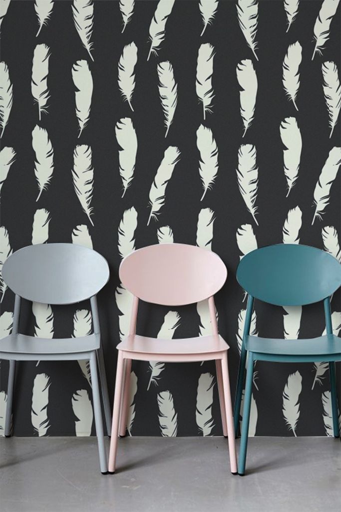 Coloray Fototapete 152x104 cm Latextapete Magicstick - Federn Federn Vogelfedern