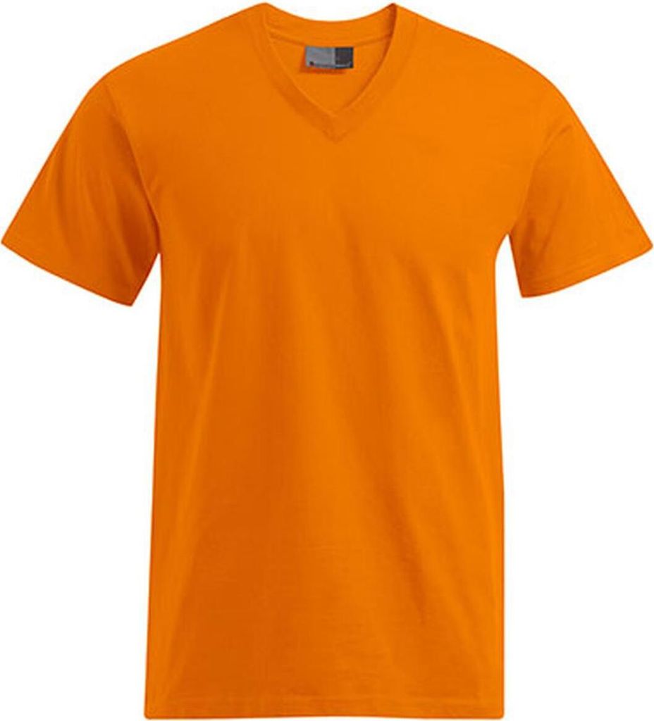 Koszulka męska Promodoro 3025 | Premium V-Neck - Kolor: Zdjęcie produktu 