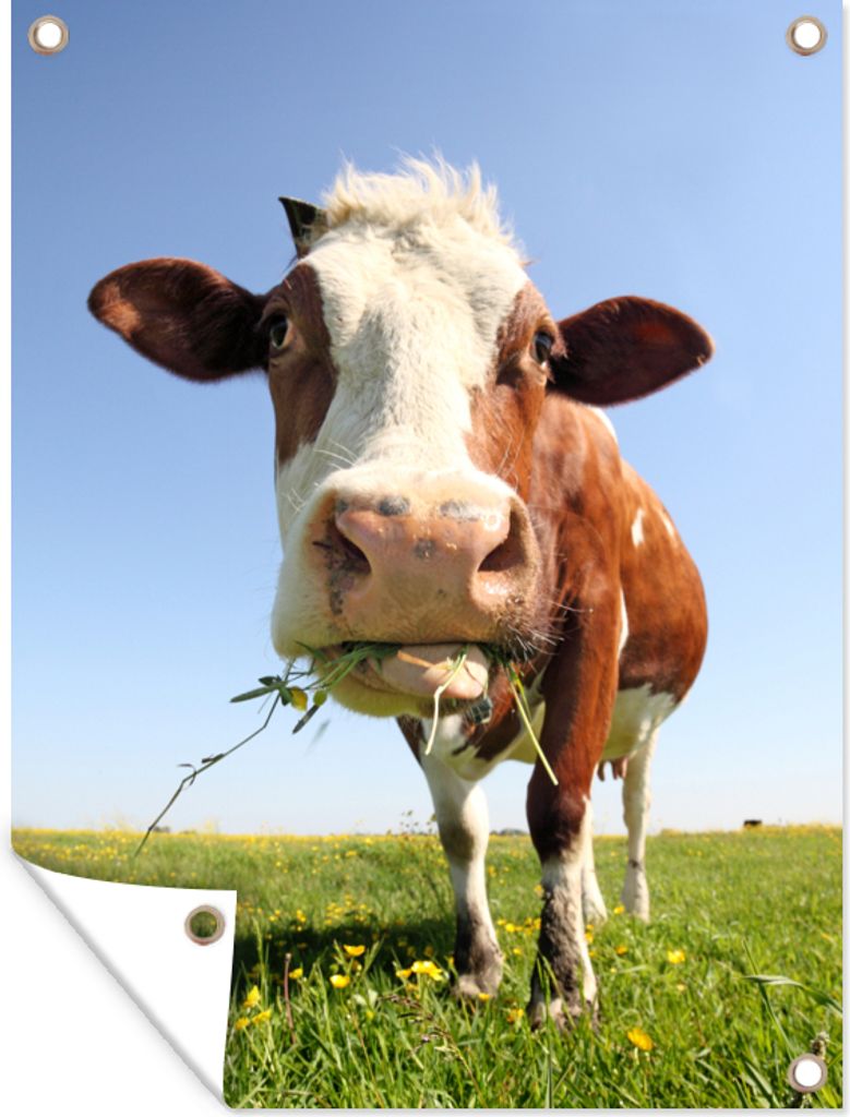 MuchoWow 90x120 cm Outdoor-Poster Gartendeko Sichtschutz Garten Poster für den Garten Kuh - Tiere - Blumen - Gras