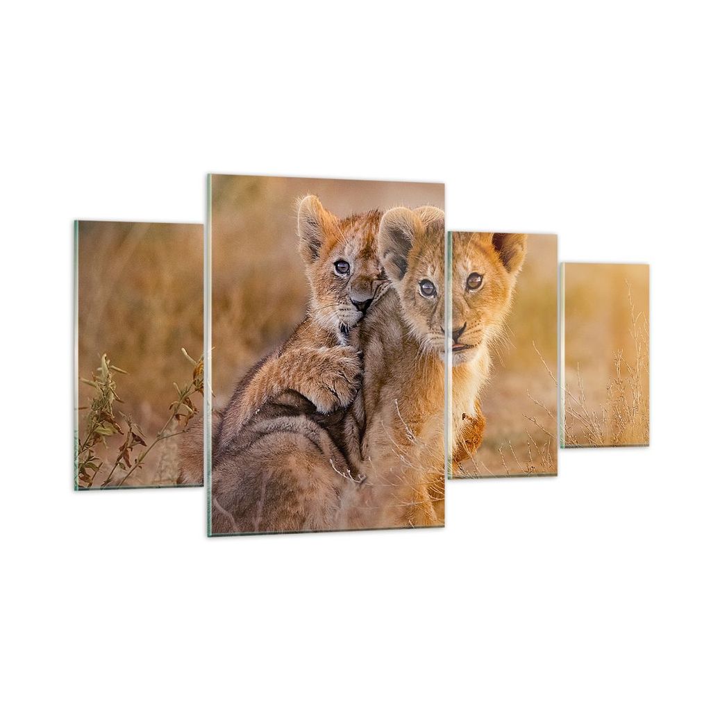 Bilder auf glas - Löwe Natur Tier - 160x90cm - Glasbilder - Wandbilder - Kunstdruck - zum Aufhängen bereit - Wanddekoration aus Glas - Glas Bilde...