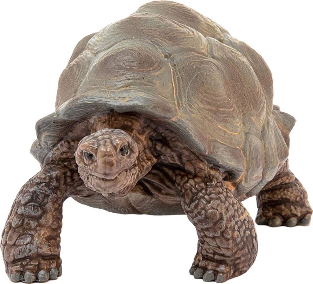 Želva obrovská Schleich Obrázok produktu 2