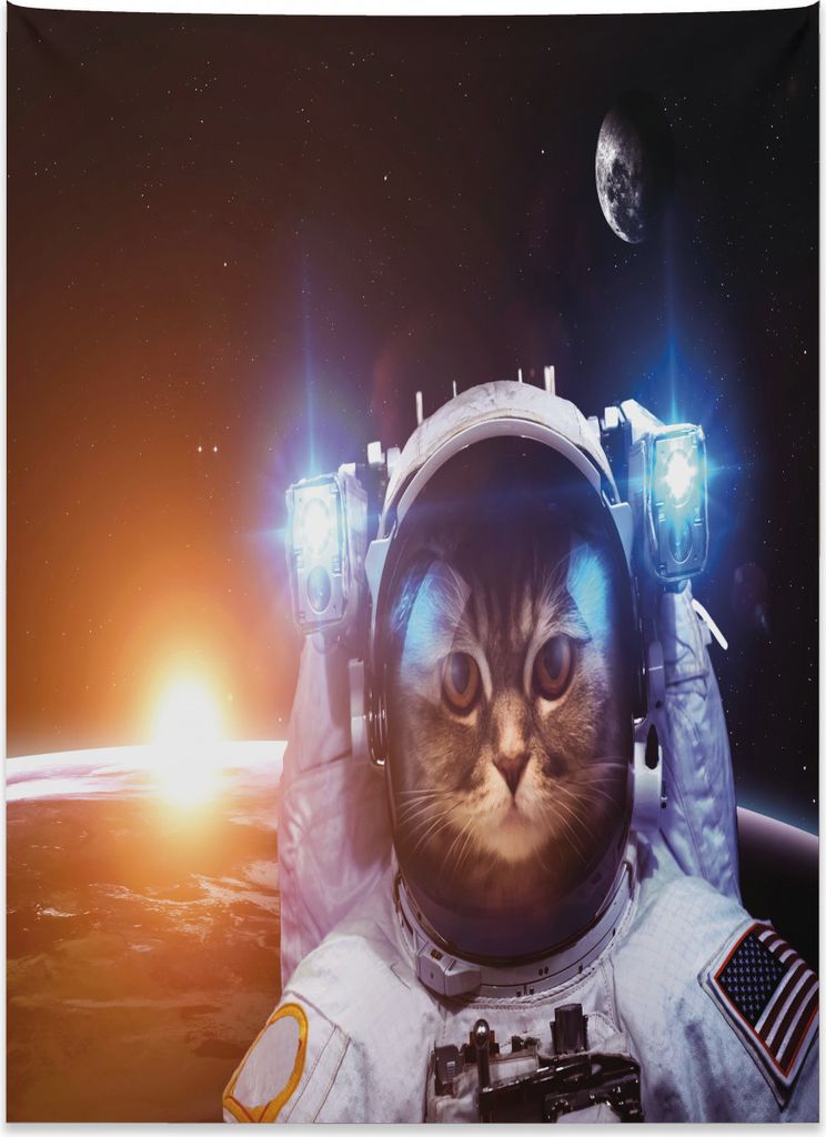 Abakuhaus Raum-Katze Wandteppich, Sun Lunar Eclipse aus Weiches Mikrofaser Stoff Kein Verblassen Klare Farben Waschbar, 110 x 150 cm, Dunkelblau Or...