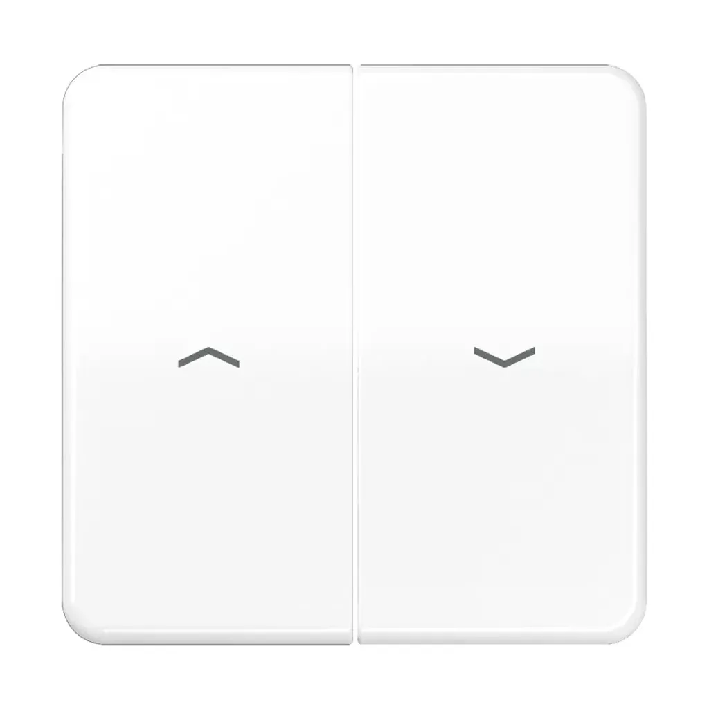 Jung CD 595 PBF WW Enjoliveur Blanc Alpin Prise TV CD595PBFWW Jung
