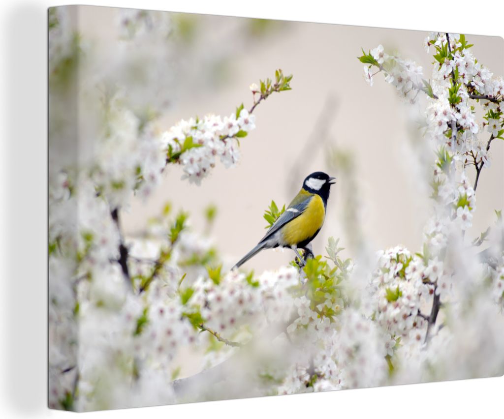 OneMillionCanvasses - Leinwandbilder - 150x100 cm, Vogel - Kohlmeise - Blumen - Blütenbaum, Wandbilder Kunstdruck Wanddekoration - Foto auf Lein...