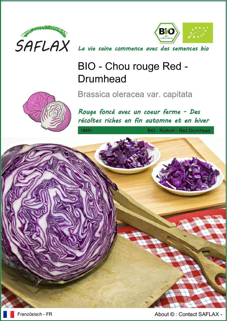SAFLAX  -- Chou rouge Red - Drumhead - 250 graines - Image du produit 
