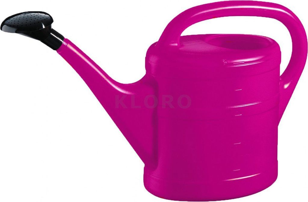 Arrosoir 10 lilas avec pomme de douche à emboîter plastique Image du produit 