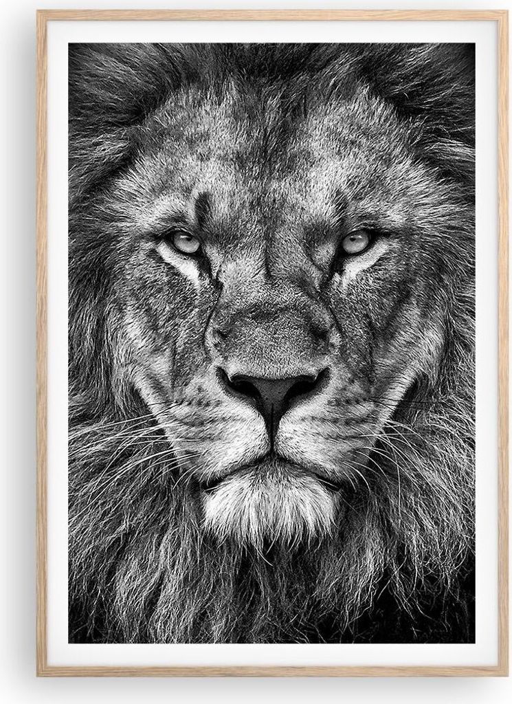 Gerahmtes Poster - Rahmen in heller Eiche - Porträt Löwe Schwarzweiß - 70x100 cm - Wand Bild - Wanddeko - Wandbilder - Kunstposter - Wandposter ...