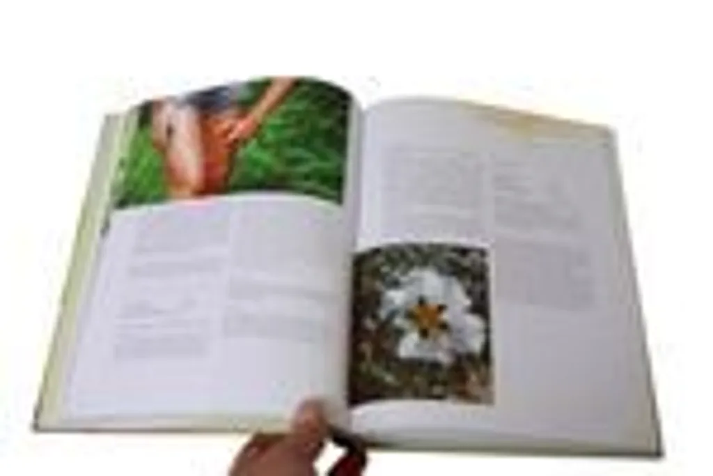 Maîtriser l'usage des hydrolats avec Das grosse Buch der Pflanzenwässer