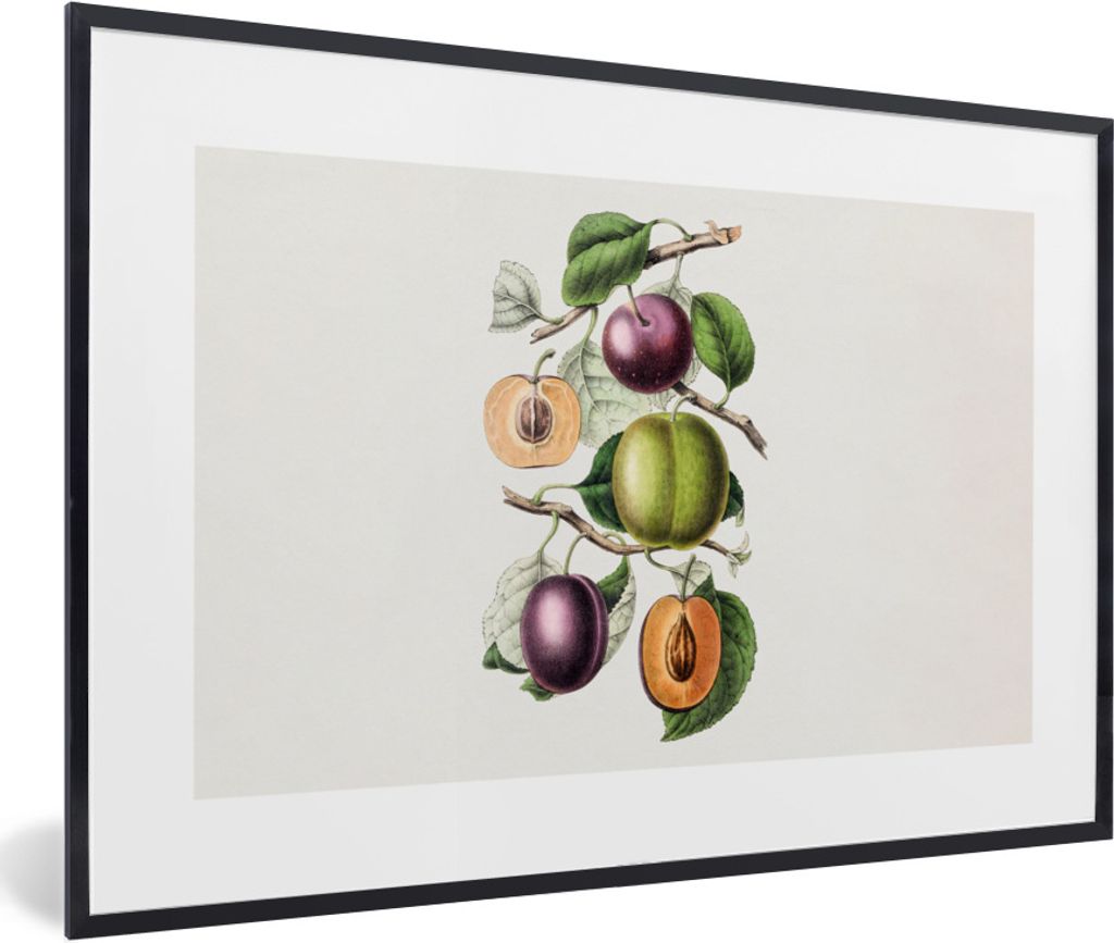 MuchoWow Gerahmtes Poster Lebensmittel - Obst - Pfirsich 30x20 cm - Poster mit Schwarzem Bilderrahmen Wandposter Rahmen Foto Bilder - Kunstdruck ...