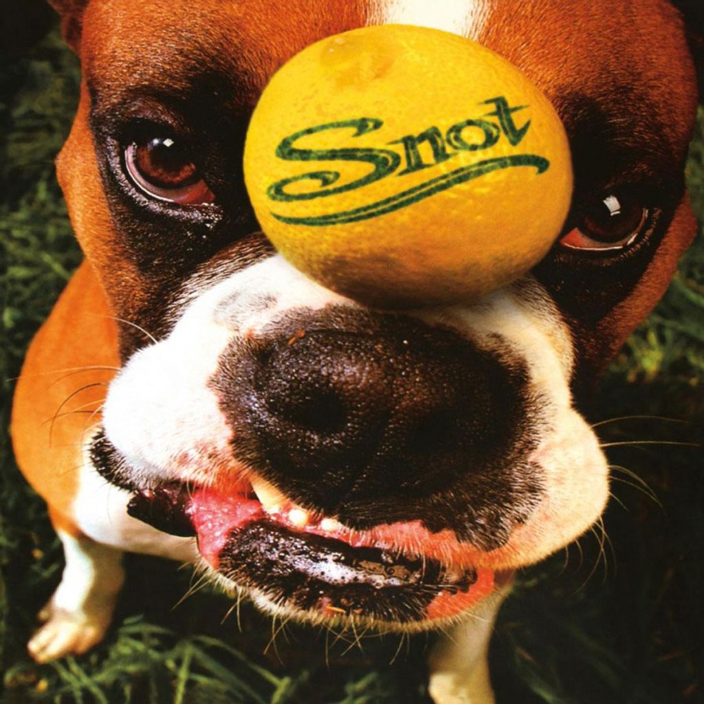 Snot - Get Some Vinyl