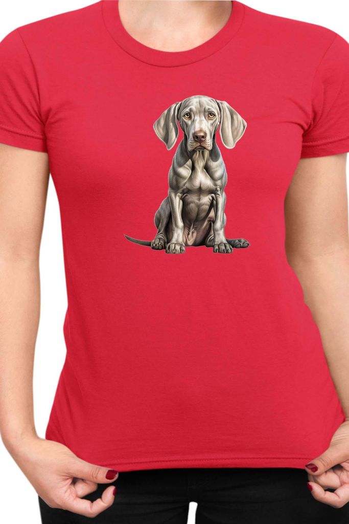 Damen T-Shirt Dogs Breeds Weimaraner Dog Breed 006, Lady L / Rot