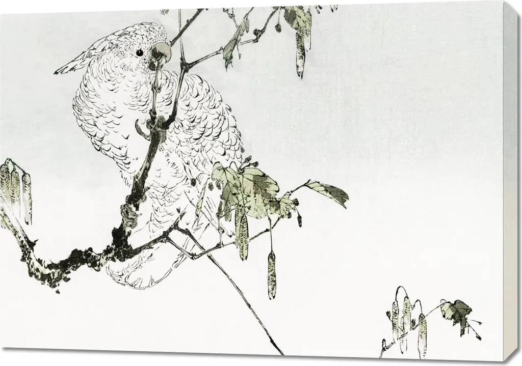 Quadro 100x70 cm White Cockatoo Seitei Giapponese Vintage | Arte Parete