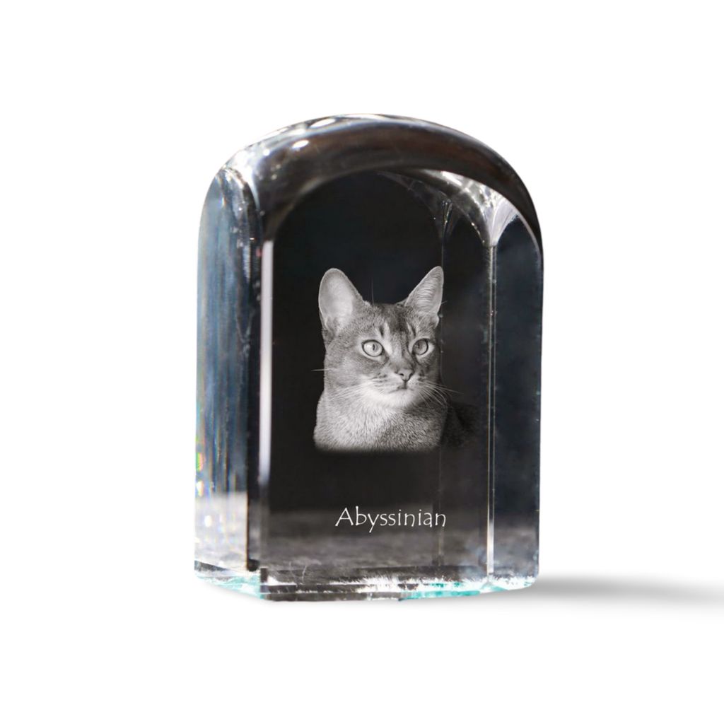 Abessinier - Kristallwürfel mit Bild, Katzenbild im Kristall, sechseckiger Papierclip von der Marke Art-Dog
