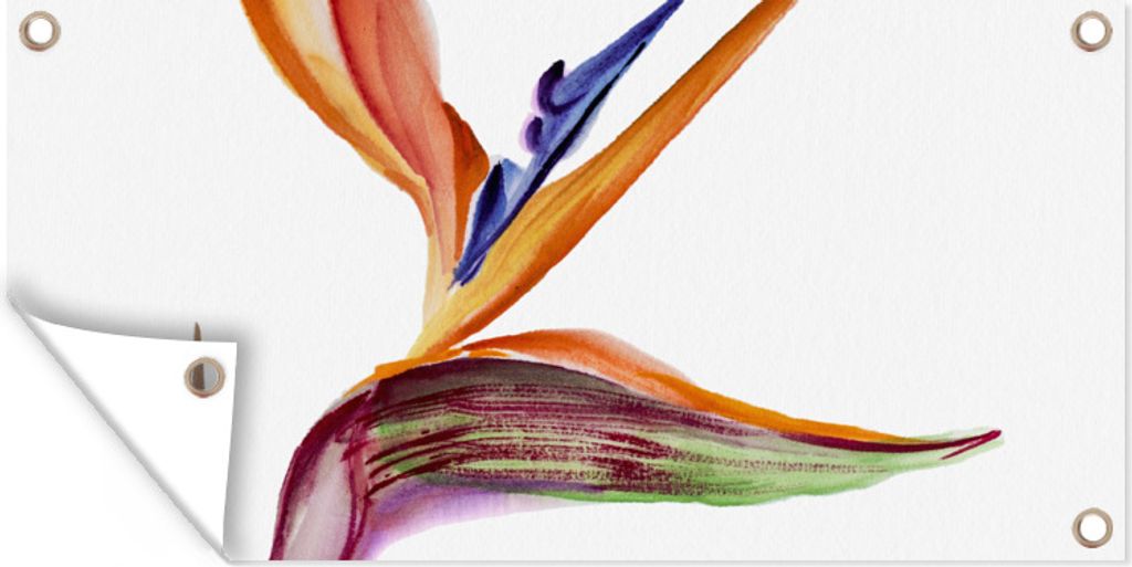 MuchoWow 60x30 cm Outdoor-Poster Gartendeko Sichtschutz Garten Poster für den Garten Strelitzia - Aquarell - Blumen