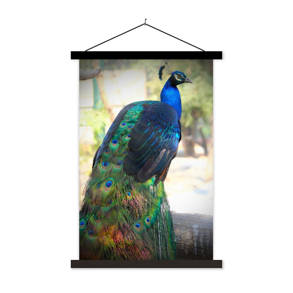 MuchoWow Textilposter Tiere - Pfau - Federn 60x90 cm mit schwarzem Rahmen - Poster Wohnzimmer