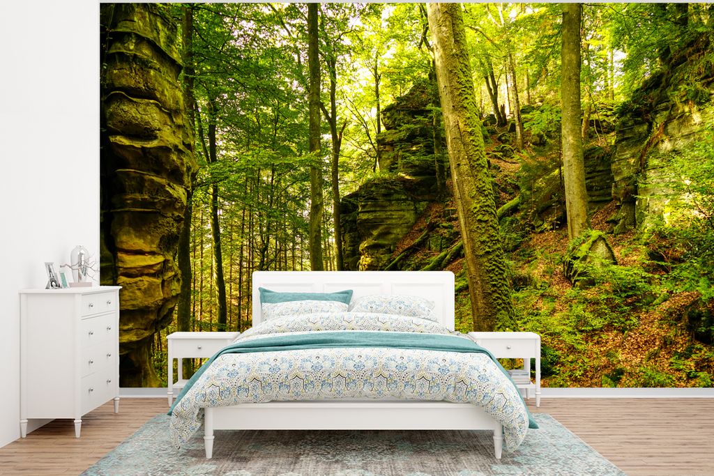 MuchoWow Fototapete für Wohnzimmer oder Schlafzimmer Wandtapete Vinyl Motivtapete Bäume - Stein - Wald - Natur - Pflanzen - 295x220 cm - Wand T...
