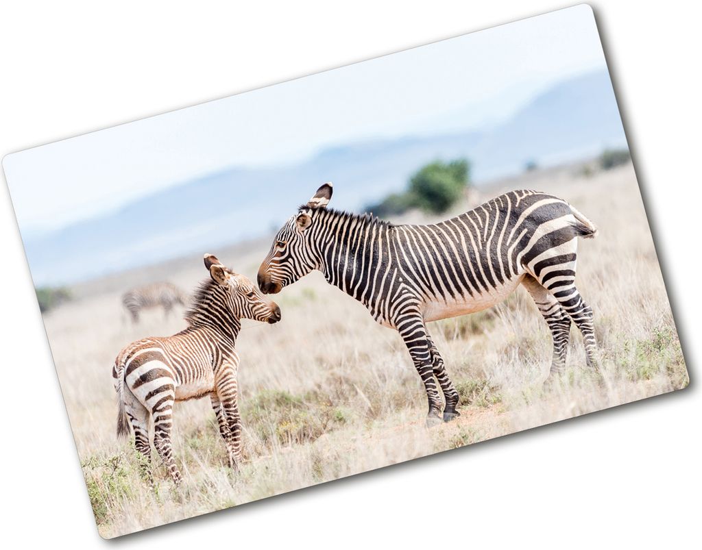 Tulup Glas Herdabdeckplatte - 80x52 cm - Glaskeramikkochfeld-Abdeckung Spritzschutz Glasabdeckplatte - Einteilig - Tiere - Zebras Berge - Beige